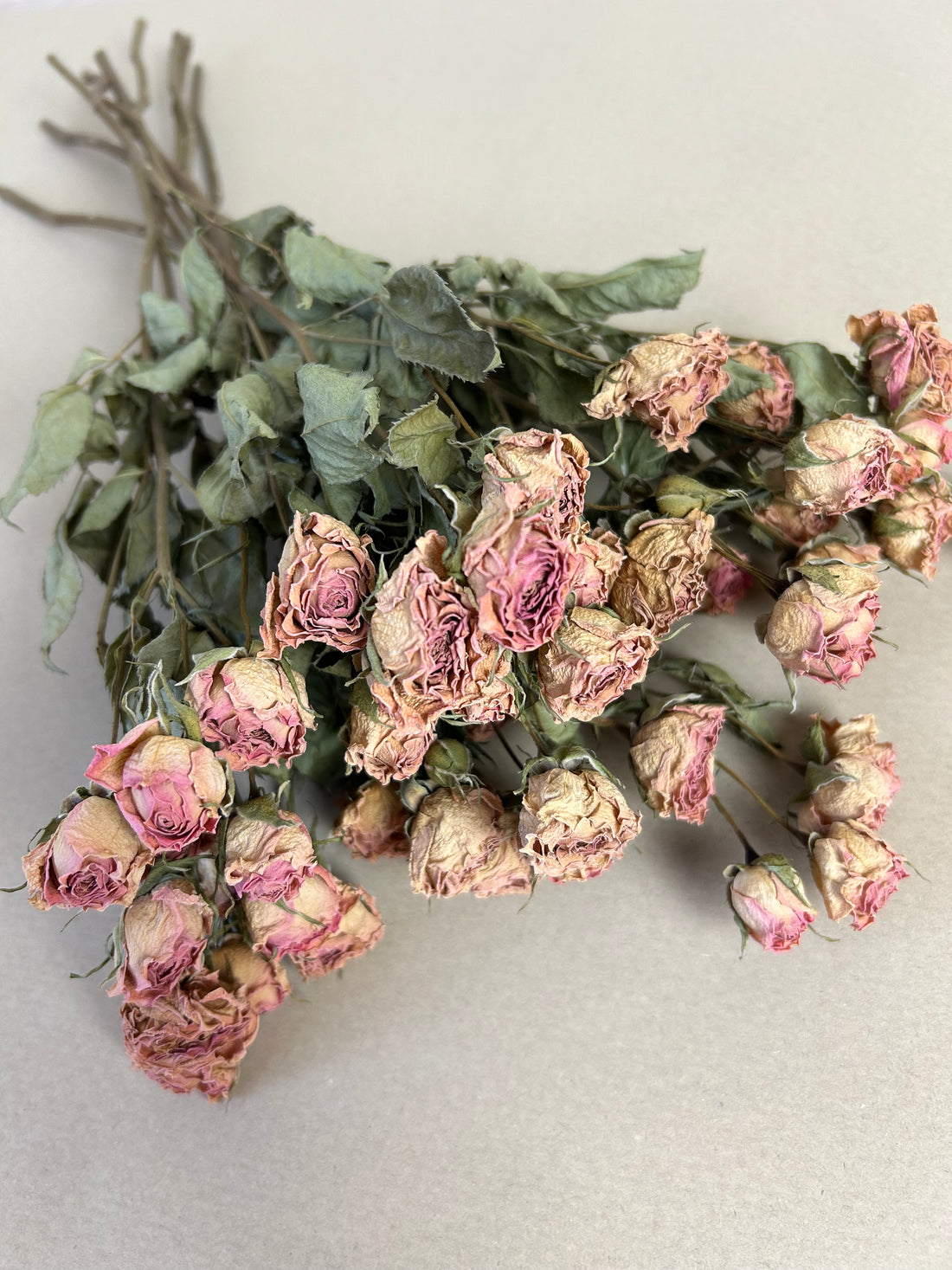 Spray Roses - Stable Home Garden