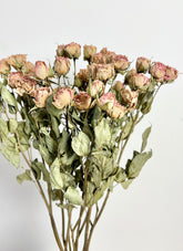 Spray Roses - Stable Home Garden