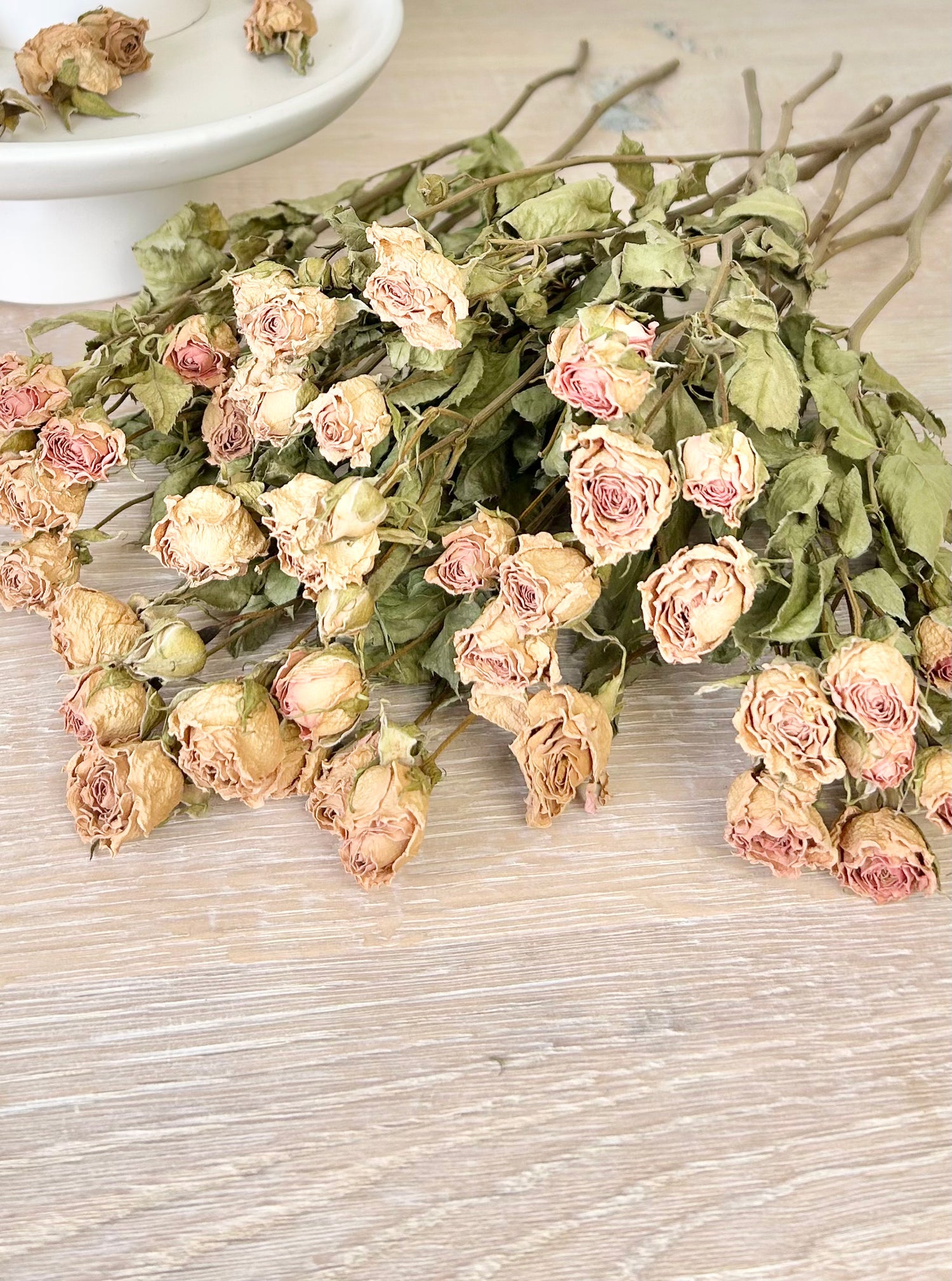 Spray Roses - Stable Home Garden