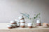 Mali White and Terracotta Large Mug Set of 2 - Stable Home Garden