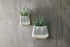 Matamba Ceramic Wall Hung Planter - Black Lines - Stable Home Garden