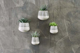 Matamba Ceramic Wall Hung Planter - Black Lines - Stable Home Garden
