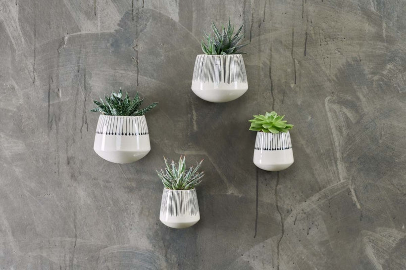 Matamba Ceramic Wall Hung Planter - Black Lines - Stable Home Garden