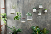 Matamba Ceramic Wall Hung Planter - Black Lines - Stable Home Garden
