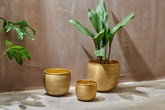 Tembesi Etched Planter - Antique Brass - Stable Home Garden