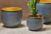 Tembesi Etched Planter - Antique Black & Brass - Stable Home Garden