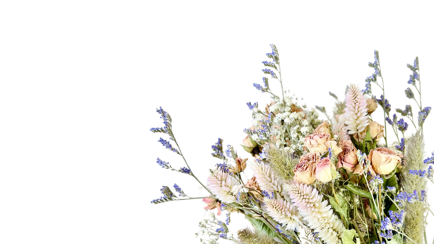 DRIED FLOWERS &amp; GRASSES