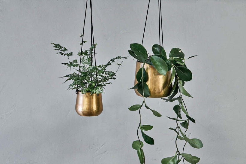 Atsu Brass Hanging Planter - Stable Home Garden