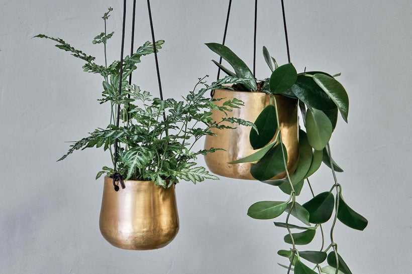 Atsu Brass Hanging Planter - Stable Home Garden