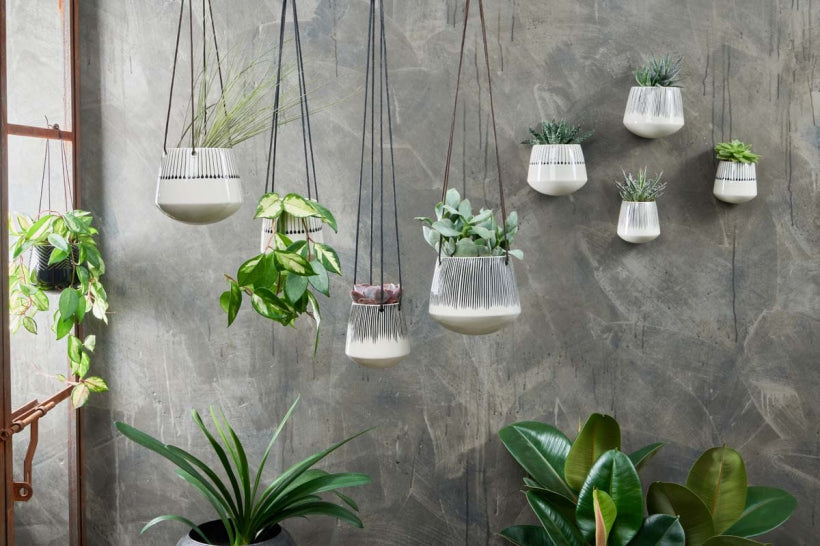 Matamba Ceramic Wall Hung Planter - Black Lines