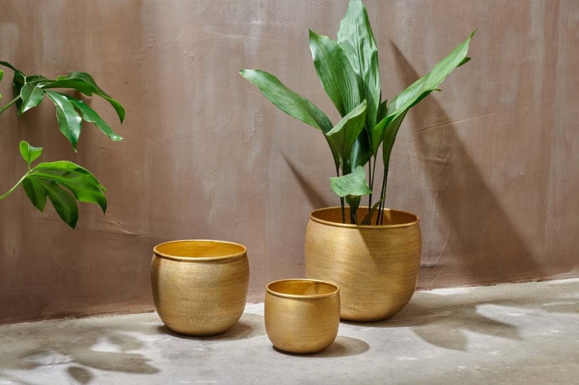 Tembesi Etched Planter - Antique Brass - Stable Home Garden