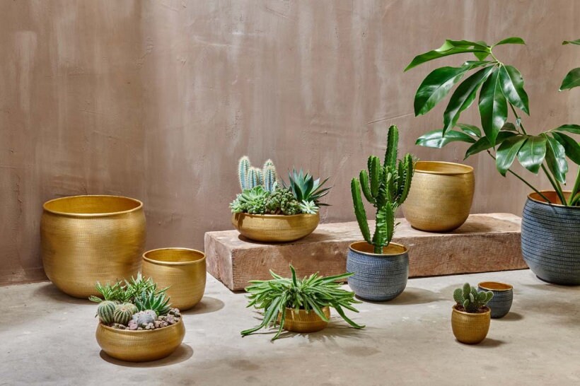 Tembesi Etched Planter - Antique Brass - Stable Home Garden